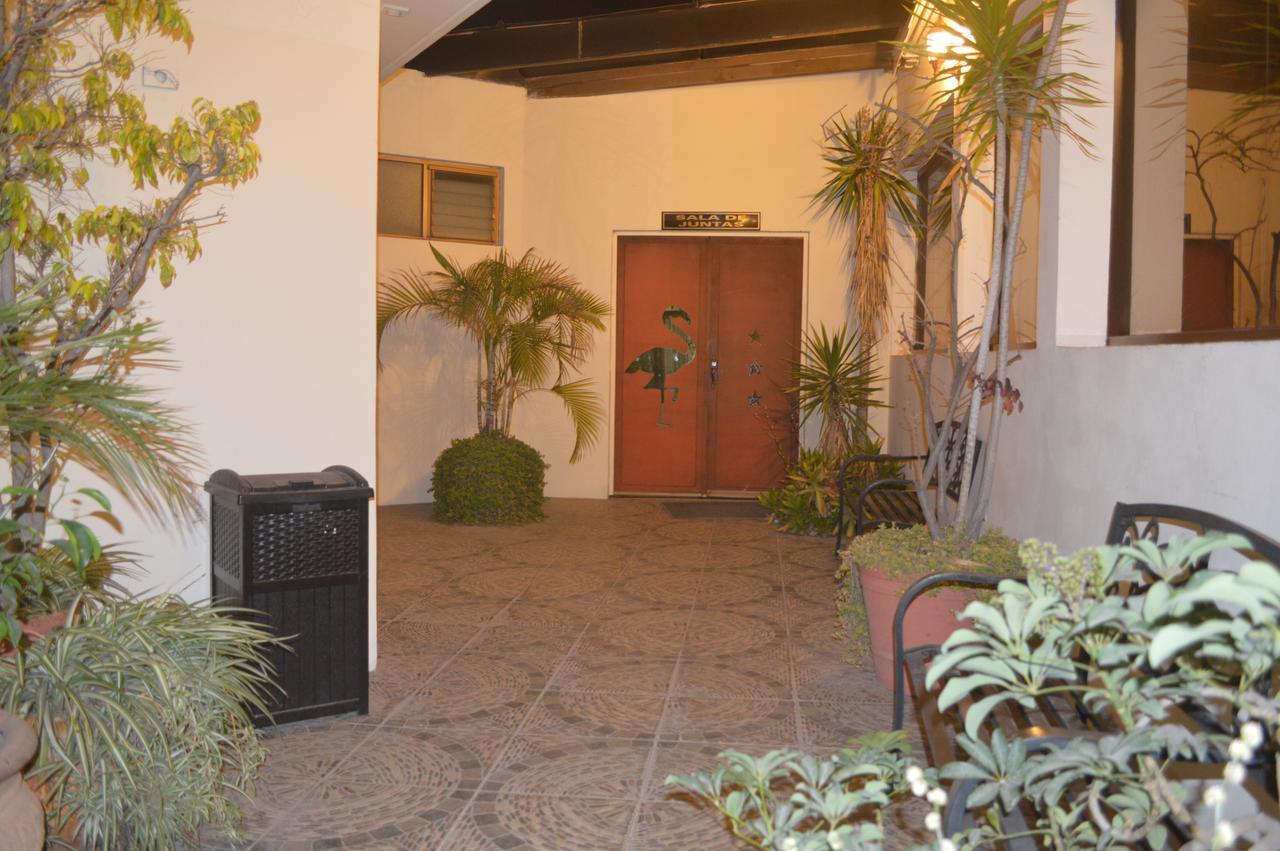 איראפואטו Hotel Flamingo Kristal מראה חיצוני תמונה
